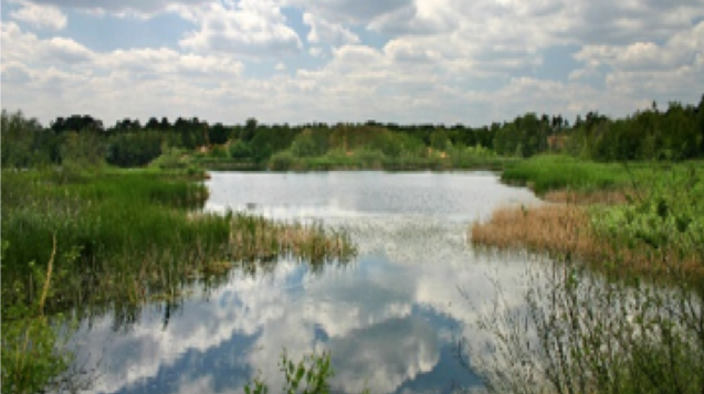 Everglades Reservoirs-1
